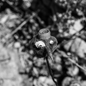 16 juillet 2025 : Les Triplettes