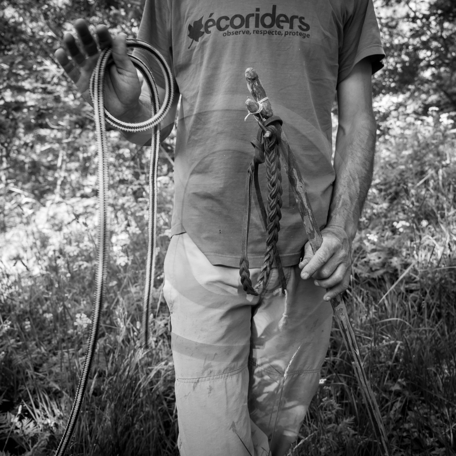 Portage avec des ânes