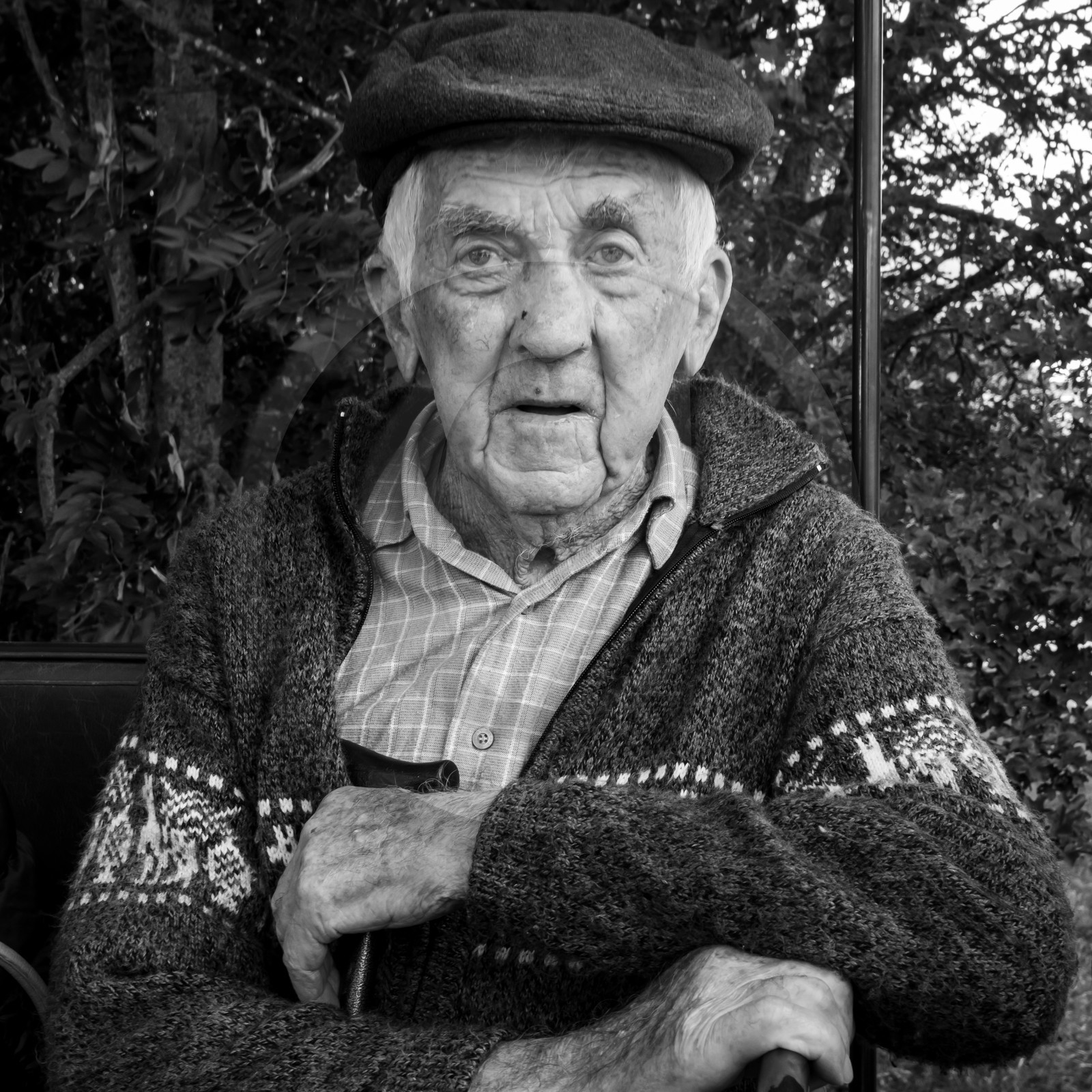 25 septembre 2019 : Promenade en calèche