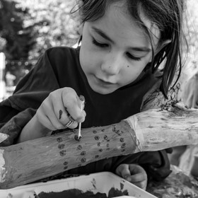 11, 12 et 13 août 2021 : L'Echo des Mots