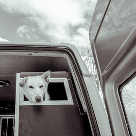 La Valgaude Traineau 2015