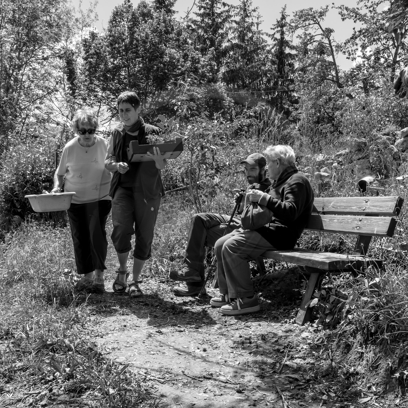 12 juin 2019 : Après-midi au jardin