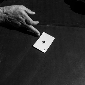 Activités au jardin