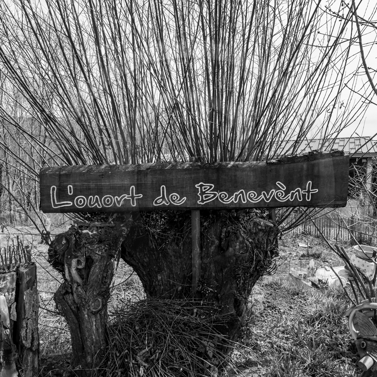 06 avril 2022 : c'est la reprise à l'Ouort