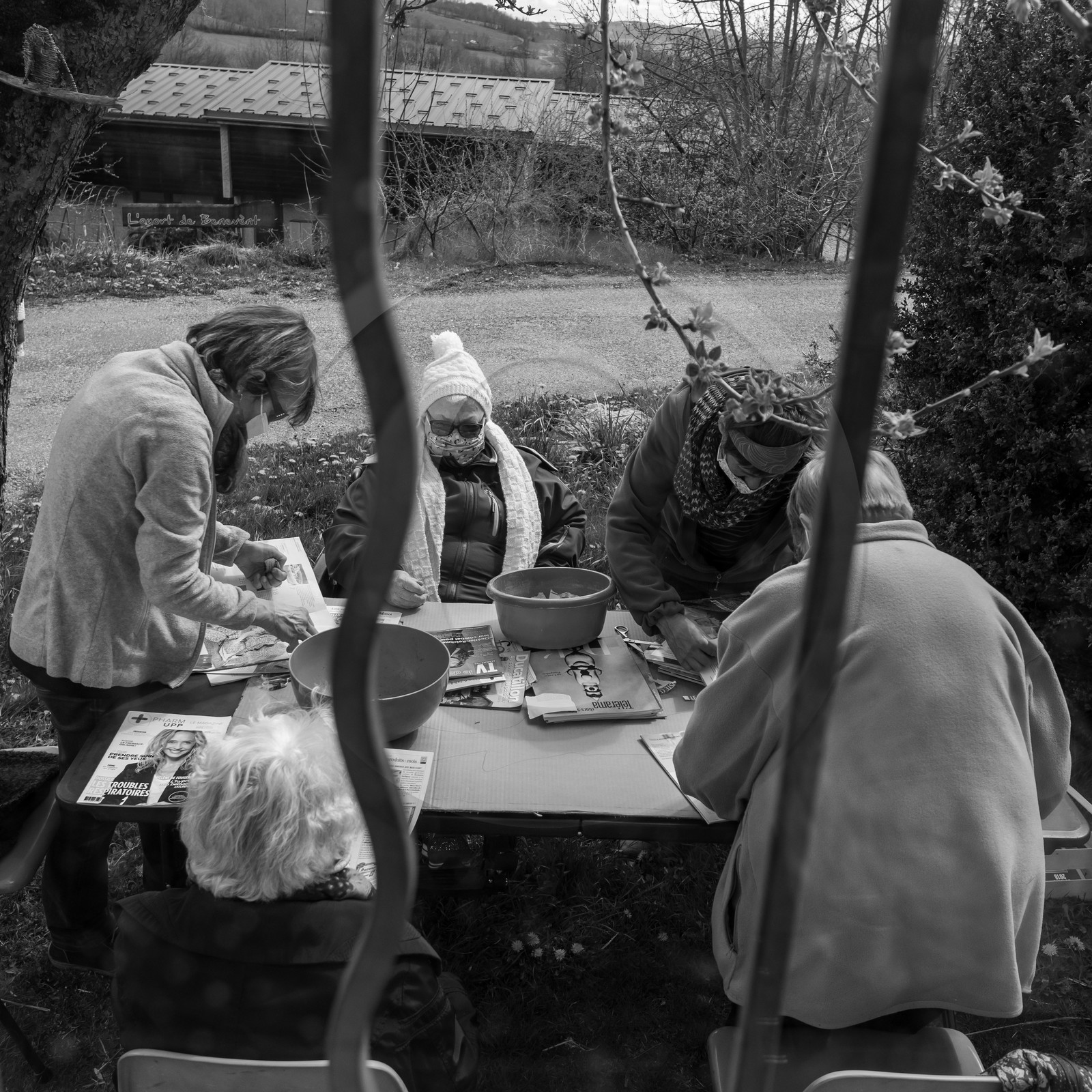 14 avril 2021 : collages, taille, jardinage