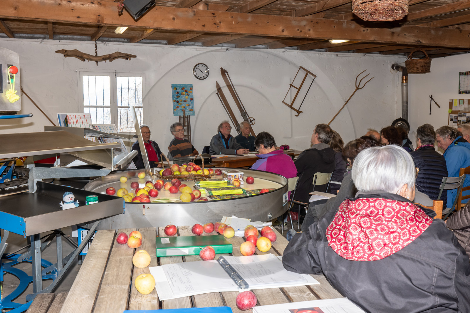 Croqueurs de pommes des Alpes Latines