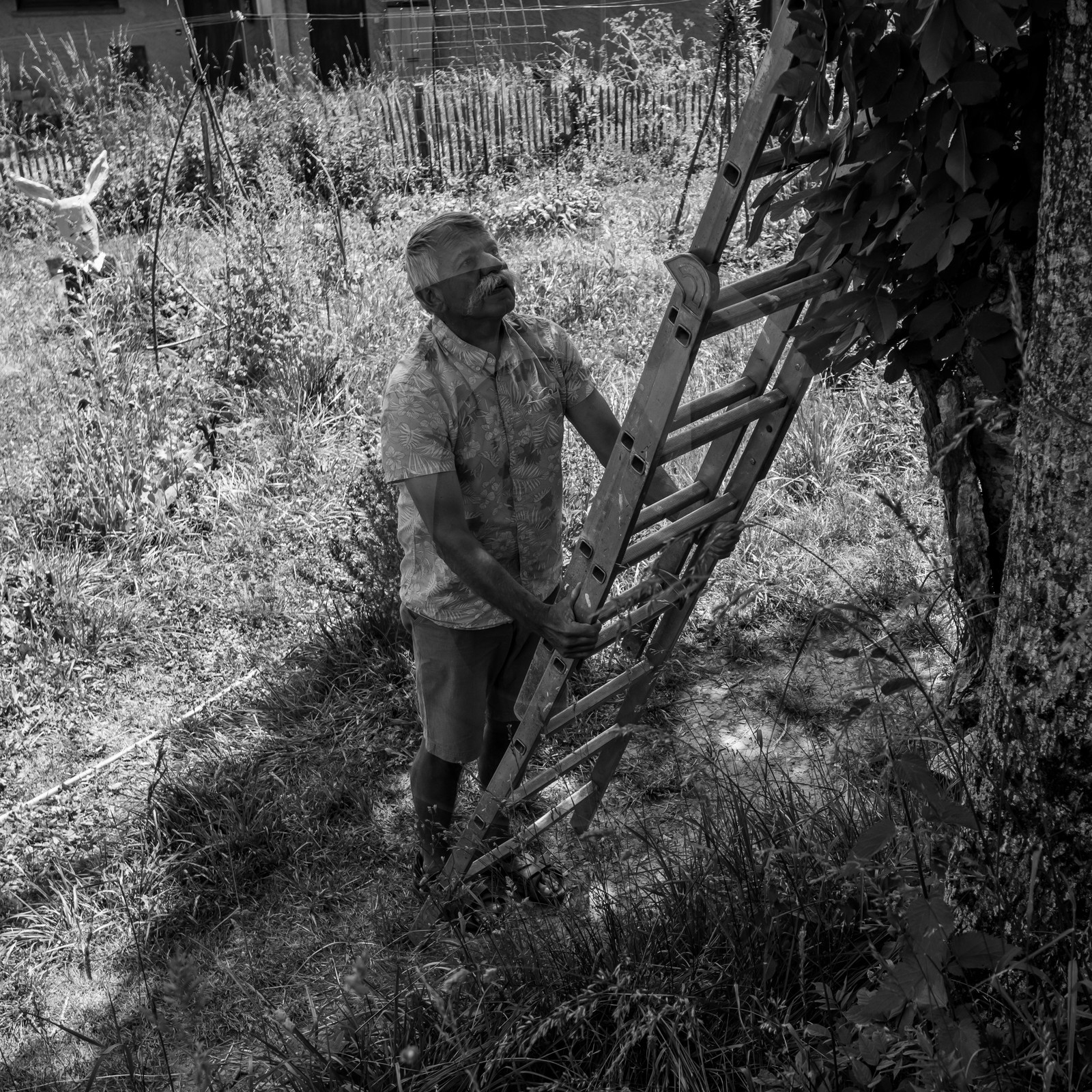 23 juin 2021 : Une après-midi à l'Ouort