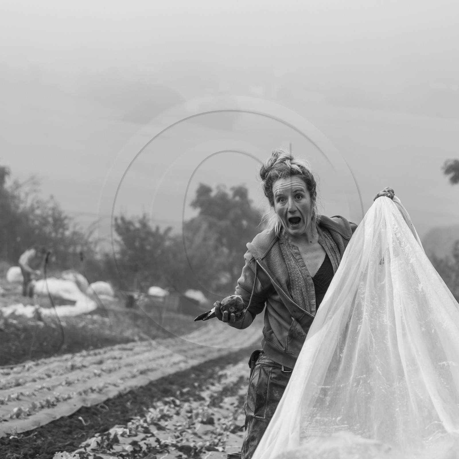 Maraichage biologique dans le Champsaur