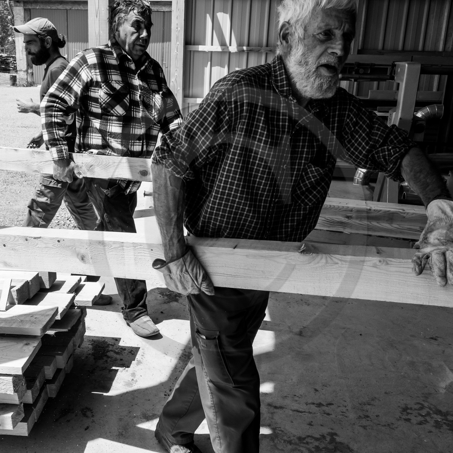 Construction d'une cabane Construction d'une cabane