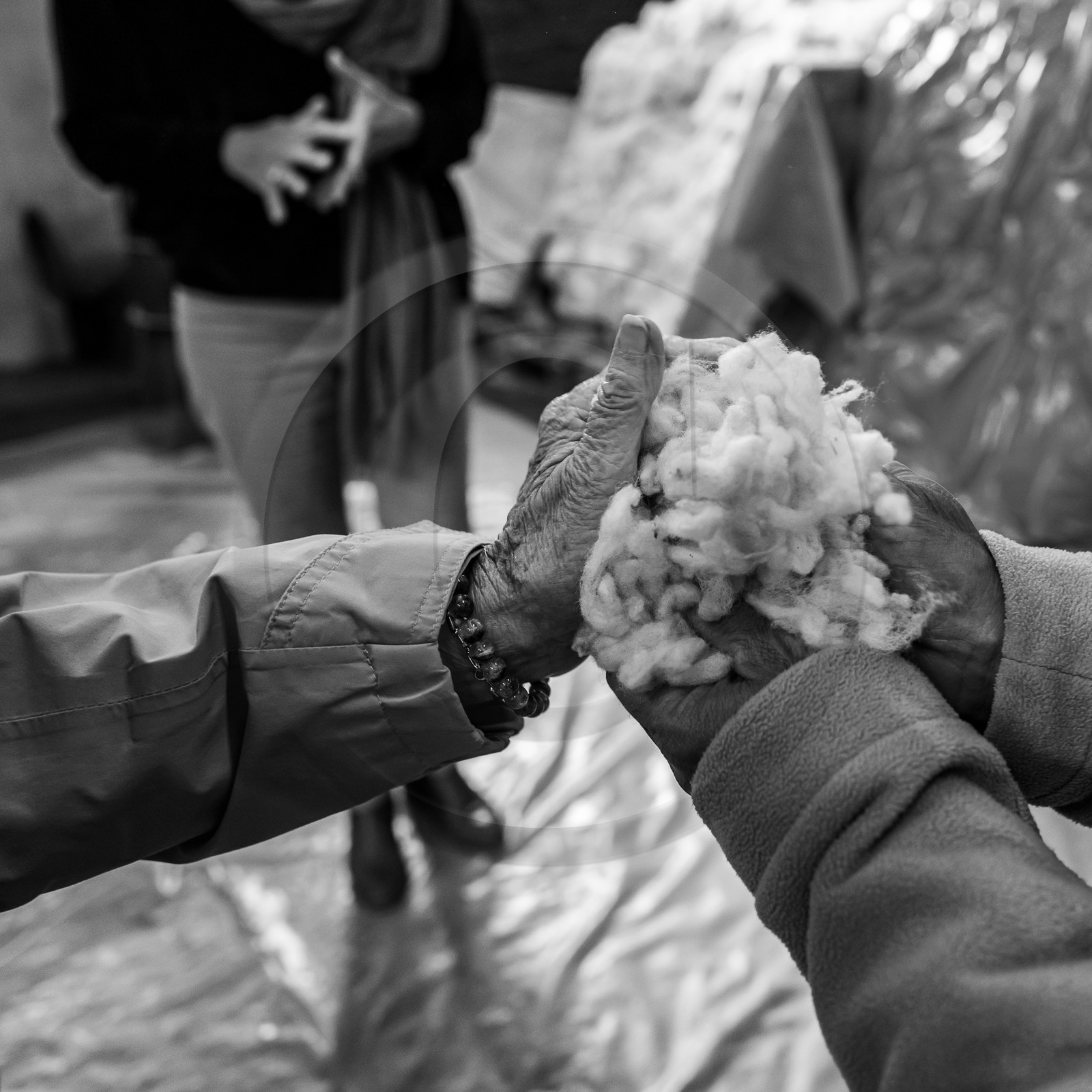 15 mai 2023 : Journée des aidants et des aidés