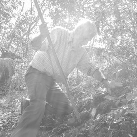 Activités au jardin