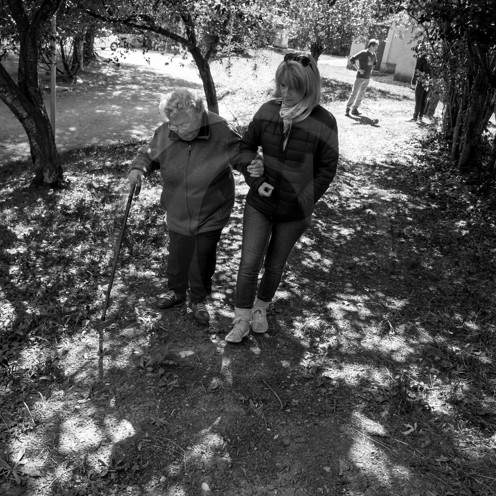 20 septembre 2017 - Jardinage