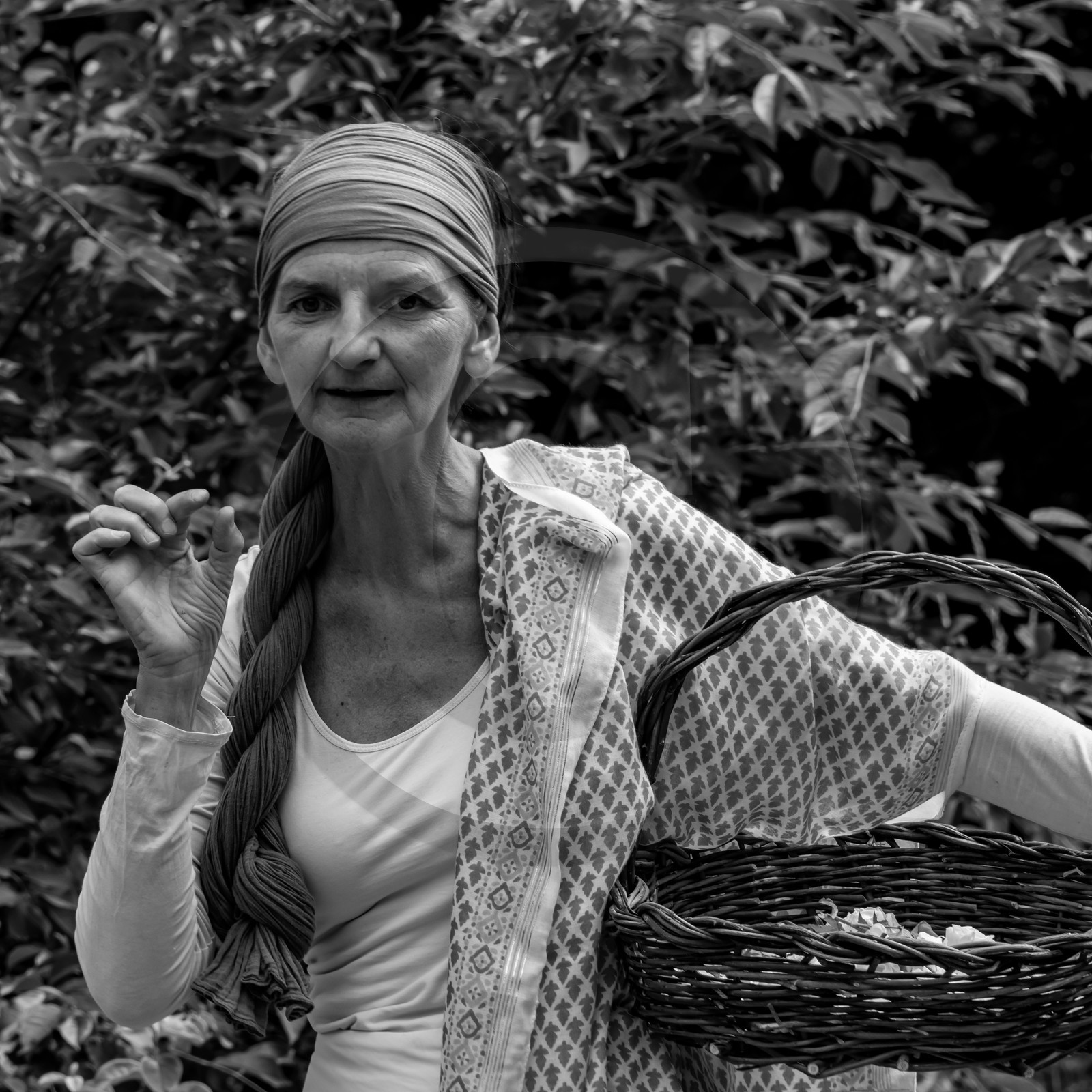 14 juillet 2021 : Lumema danse