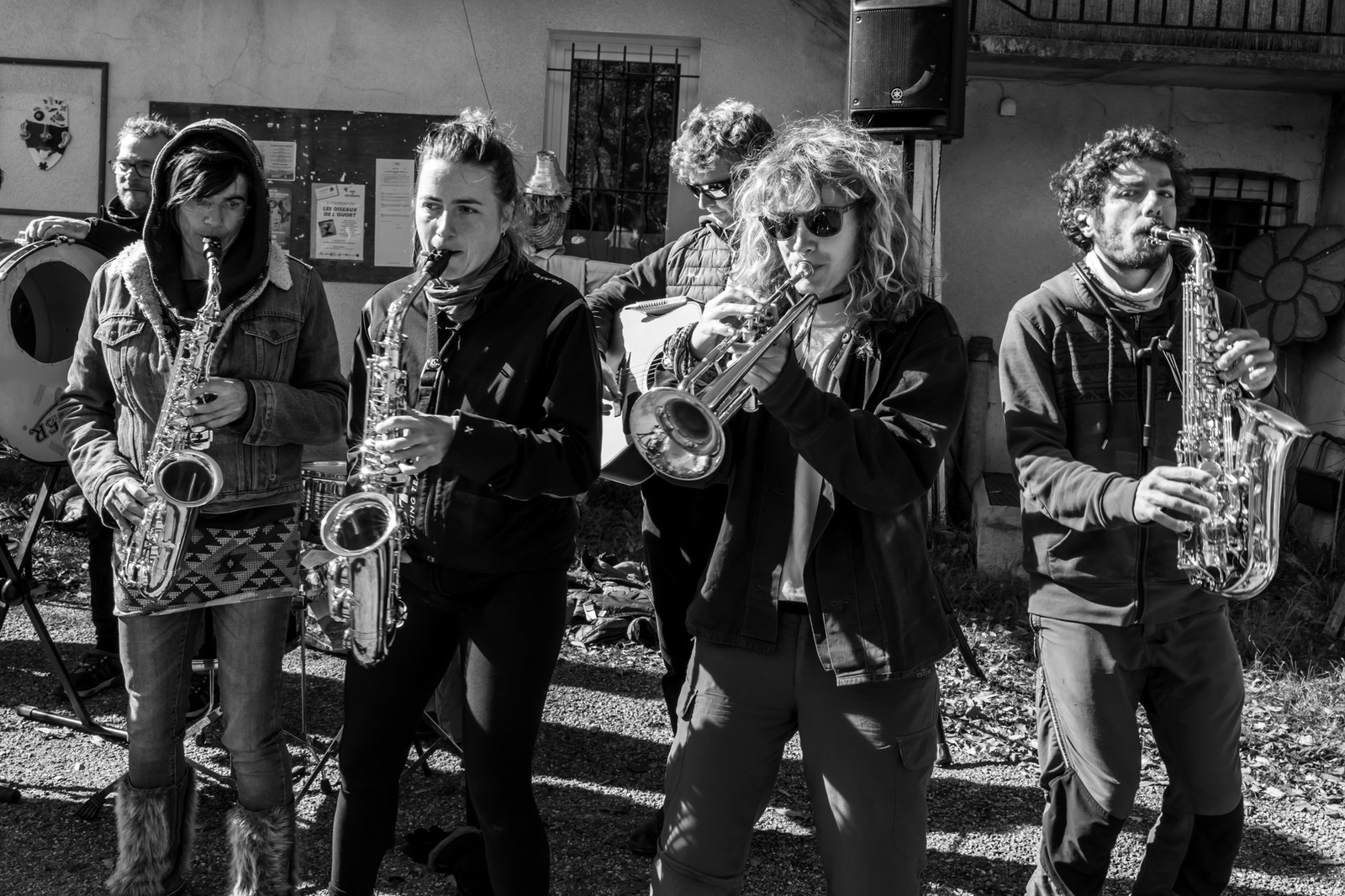 26 octobre 2025 : Les oiseaux de trottoir