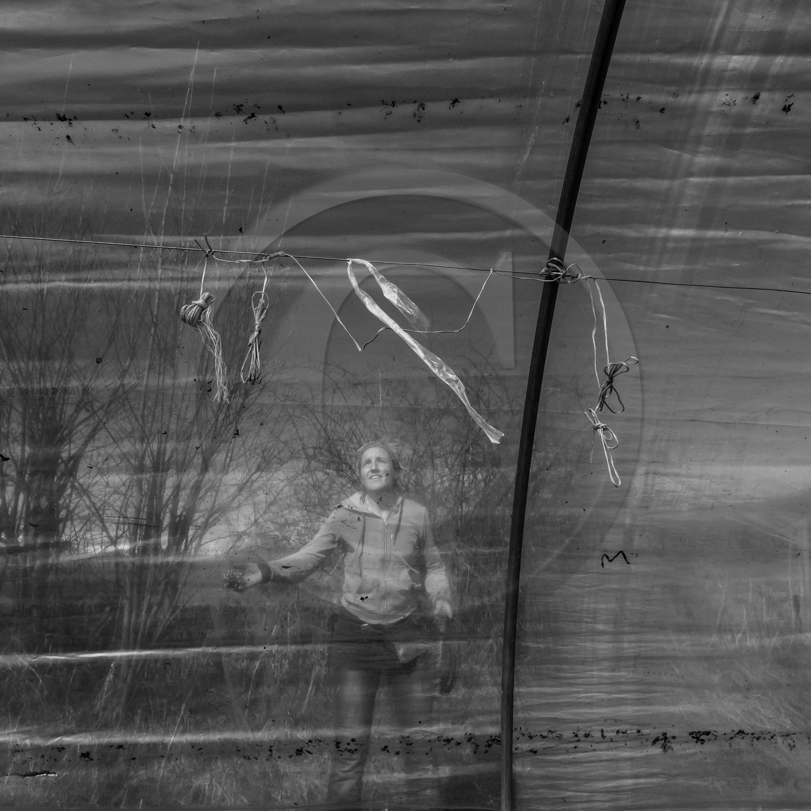 Montage de serres tunnel Montage de serres tunnel