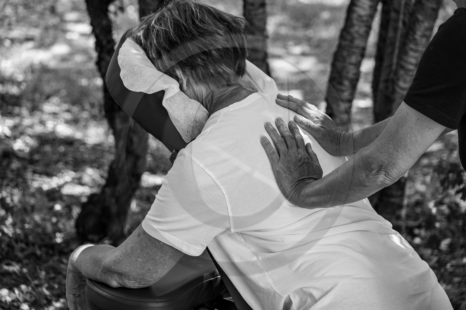 17 juillet 2023 : Journée des aidants et des aidés 17 juillet 2023 : Journée des aidants et des aidés