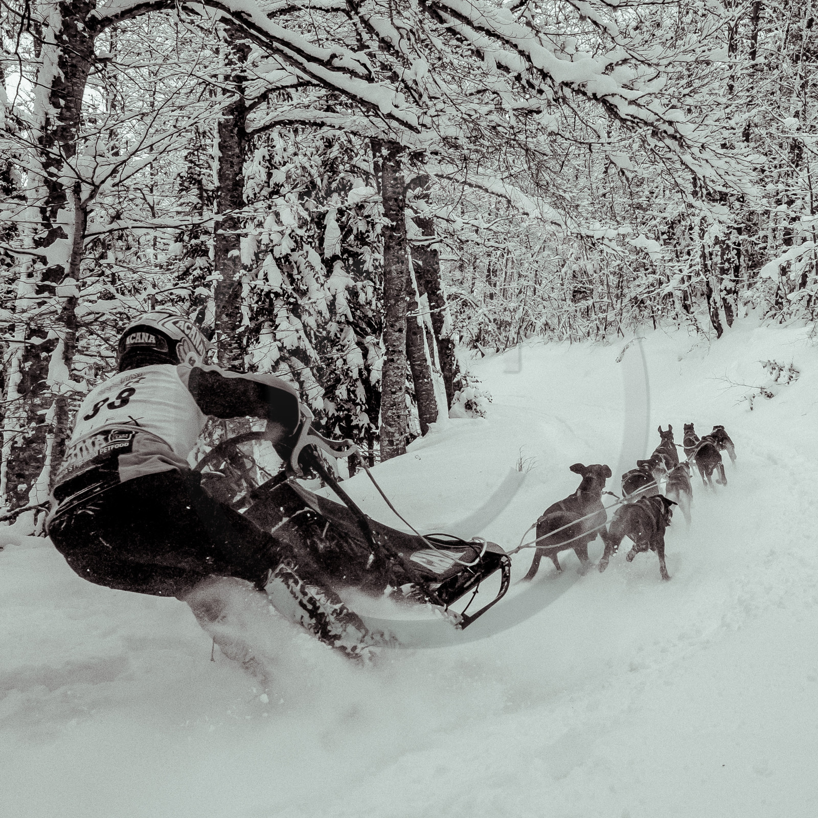 La Valgaude Traineau 2015