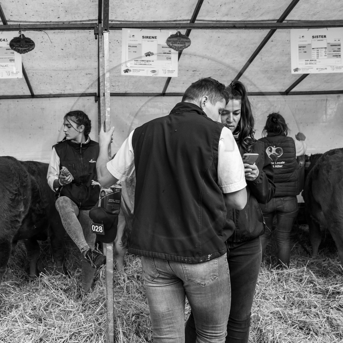 Rencontres paysannes à Saint-Bonnet en Champsaur