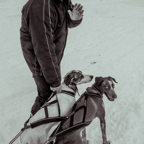 La Valgaude Traineau 2015