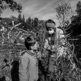 Semis, tournesols et jeux