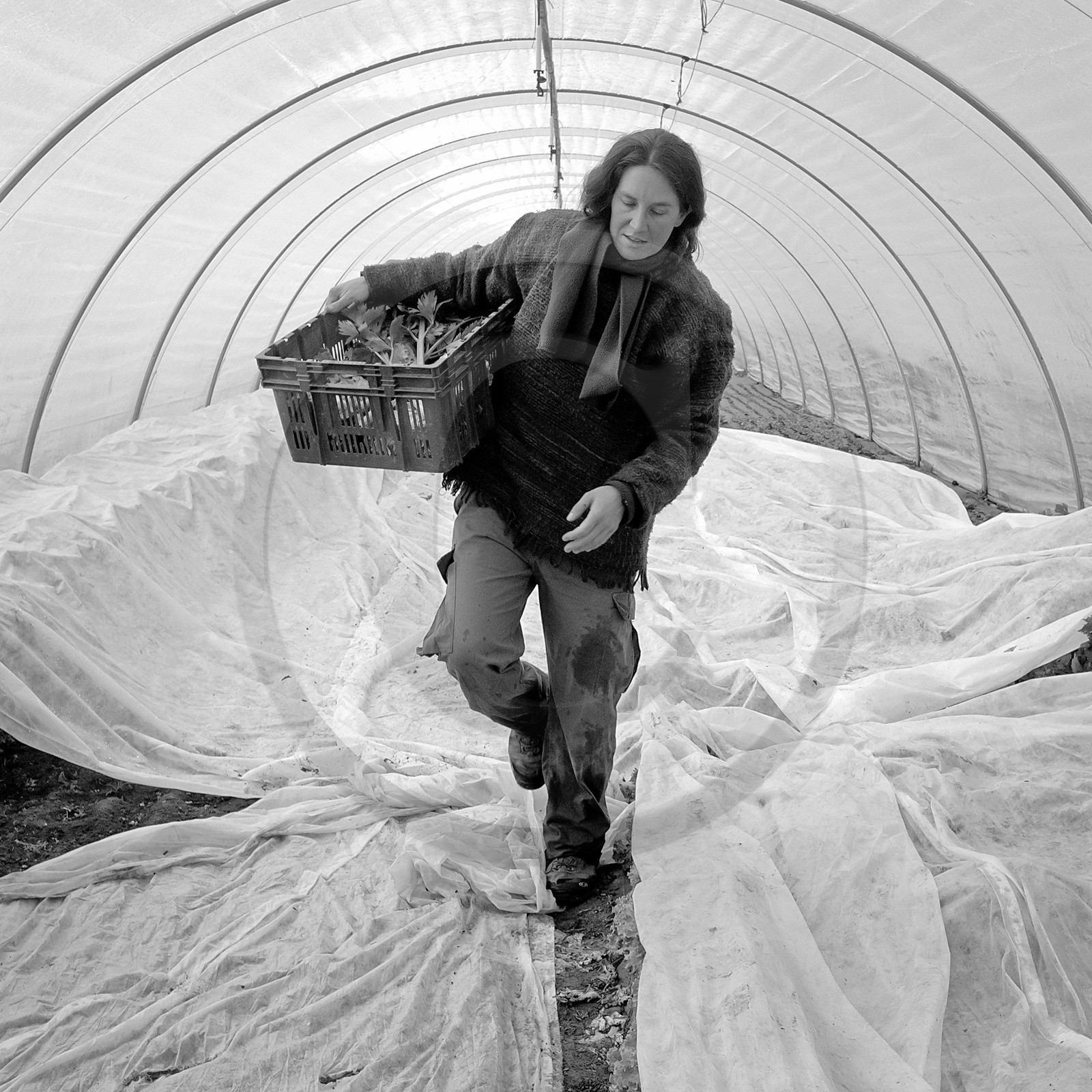 Sophie Jaussaud, maraichère à Ancelle Sophie Jaussaud, maraichère à Ancelle