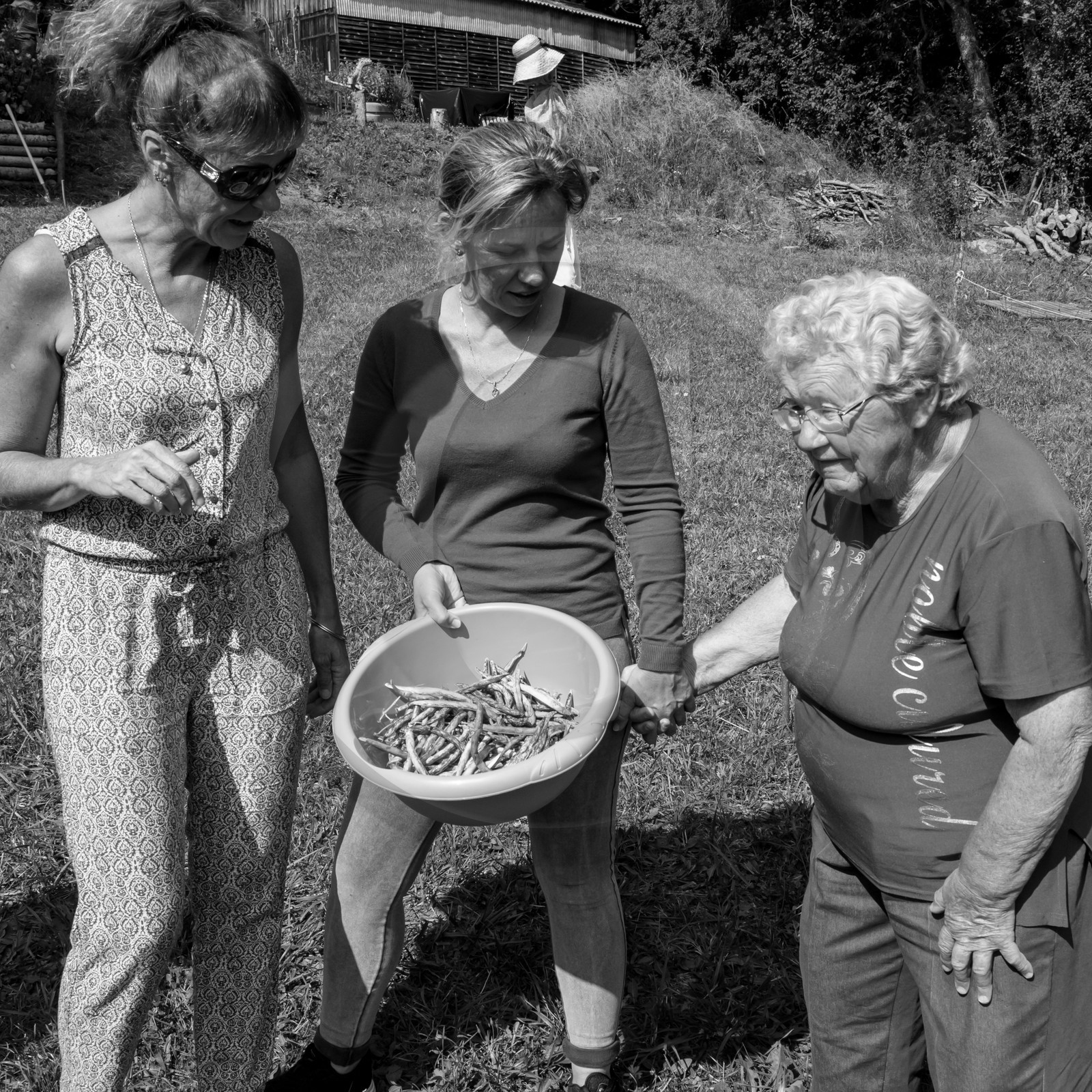 13 septembre 2017 - Chemins - Graines