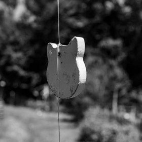 La cantine de Bernie