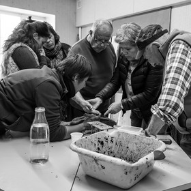 Atelier repiquage et semis - 26 04 2017