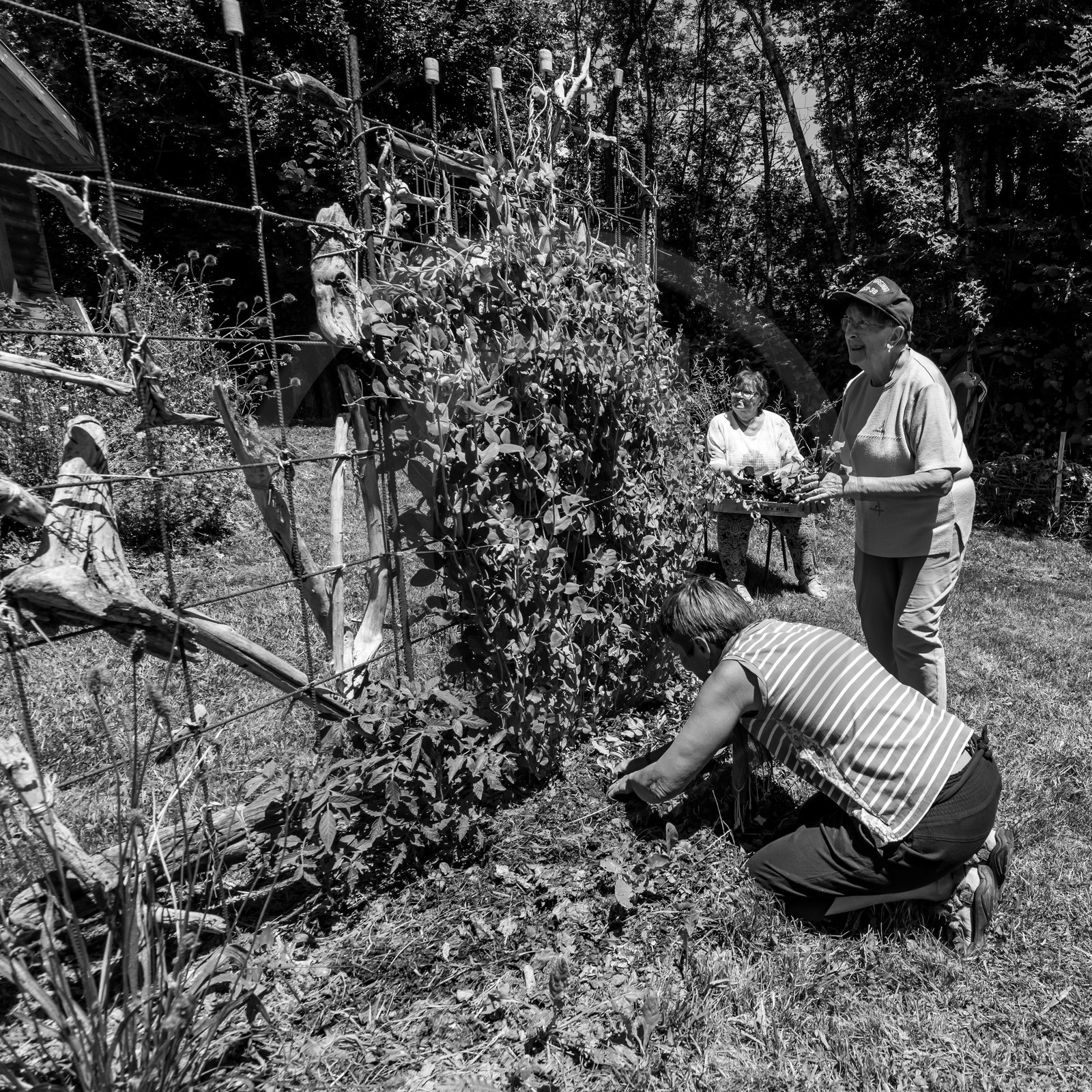 30 juin 2021 : Jardinage, jeux de cartes, masques