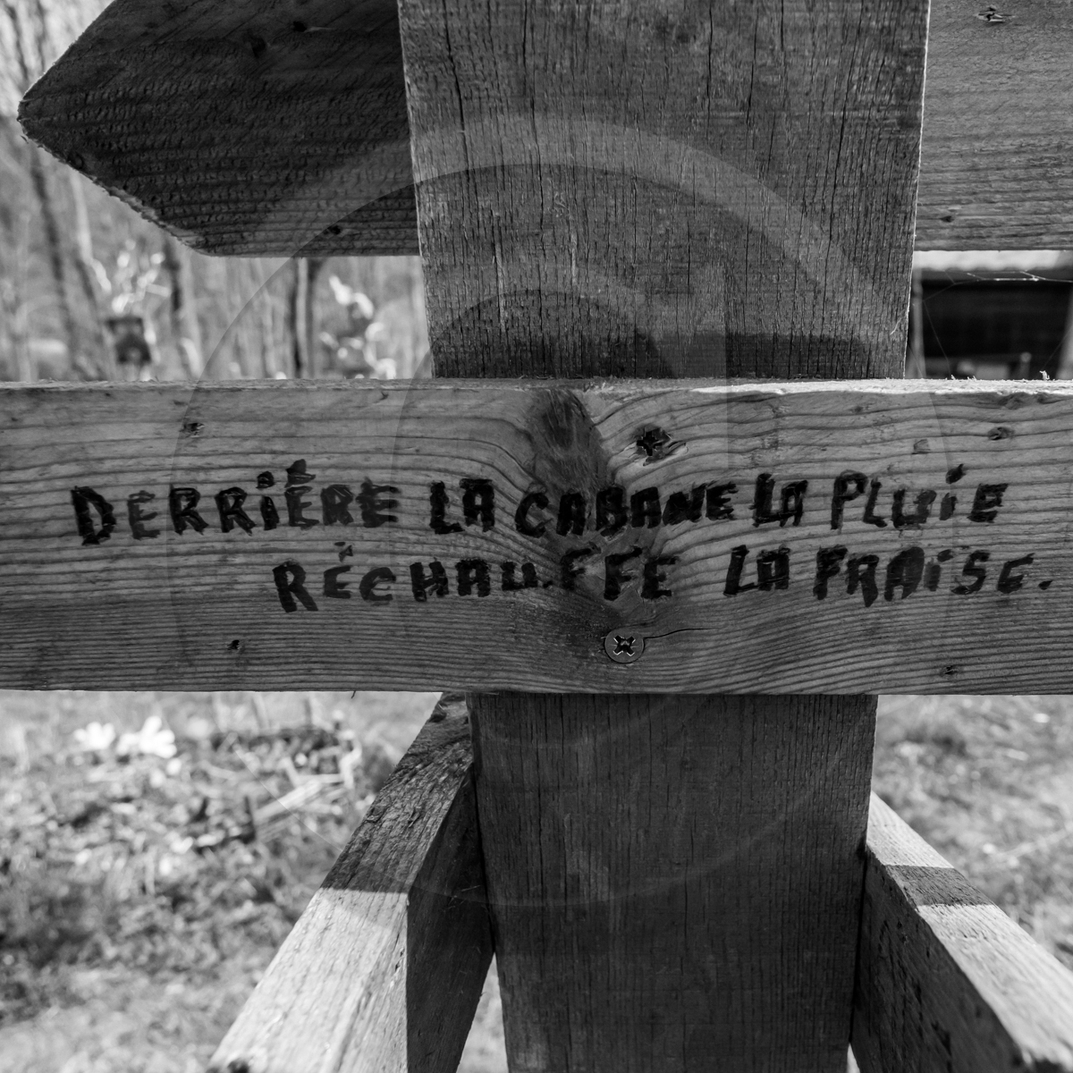 06 avril 2022 : c'est la reprise à l'Ouort