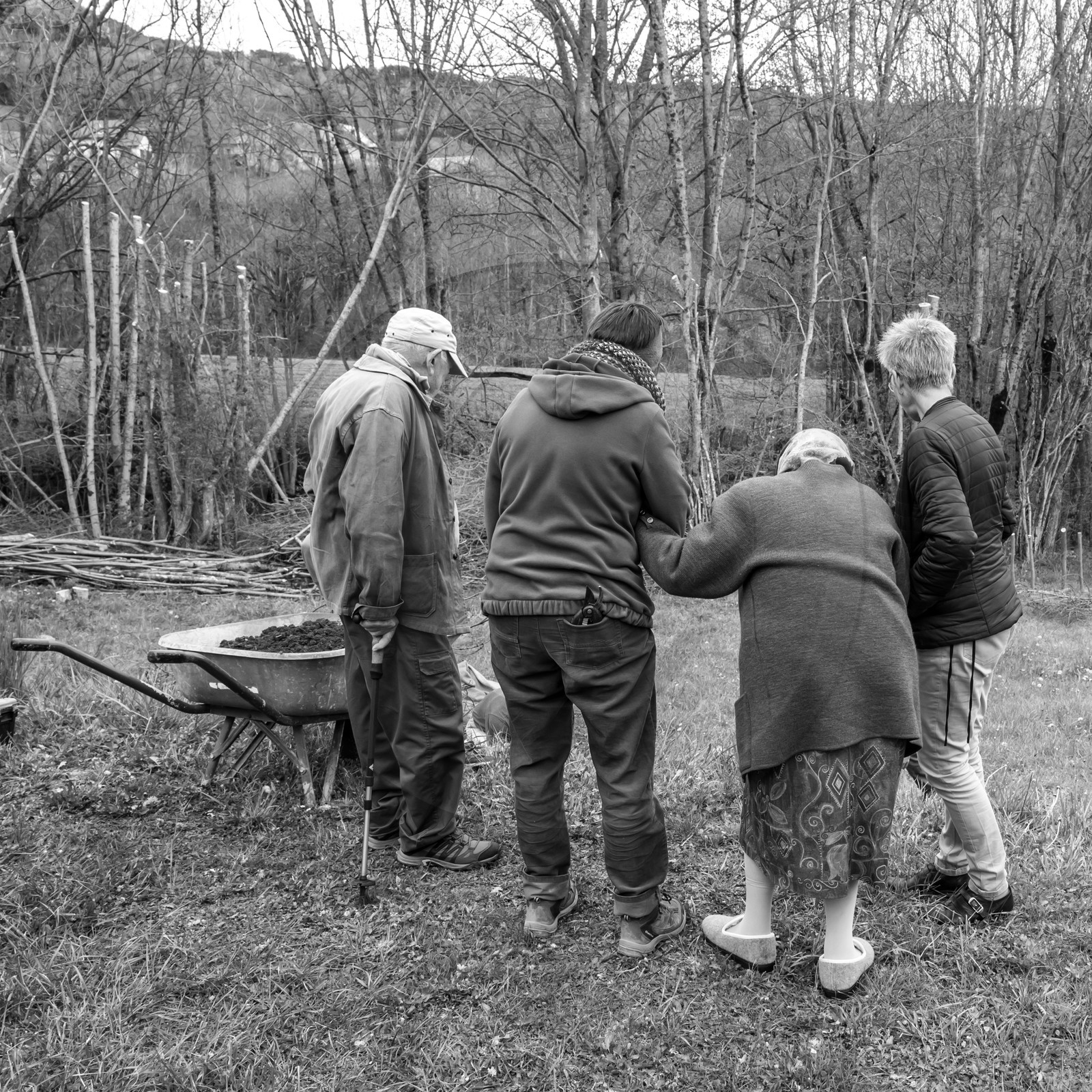 03 mai 2017 - Bac, semis et plantations