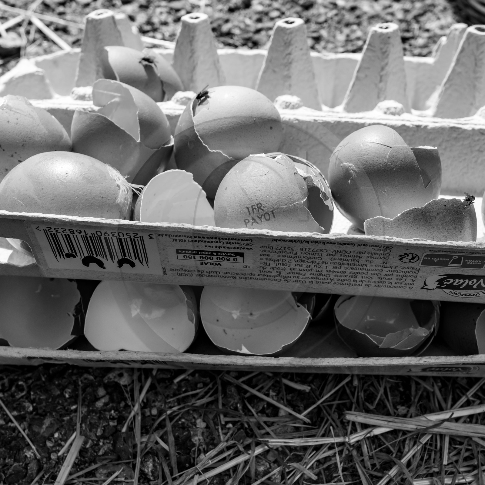 06 septembre 2021 : Journée des aidants