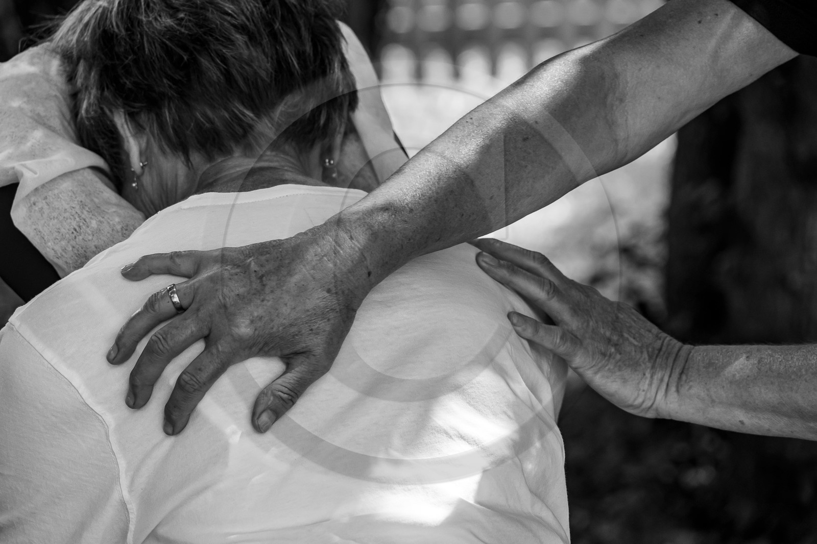 17 juillet 2023 : Journée des aidants et des aidés 17 juillet 2023 : Journée des aidants et des aidés