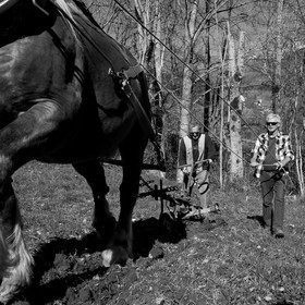 L'Ouort de Bénévent - 17 avril 2017