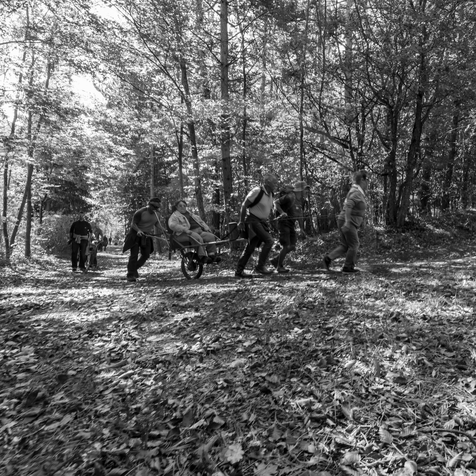 02 octobre 2019 : promenade en joelette