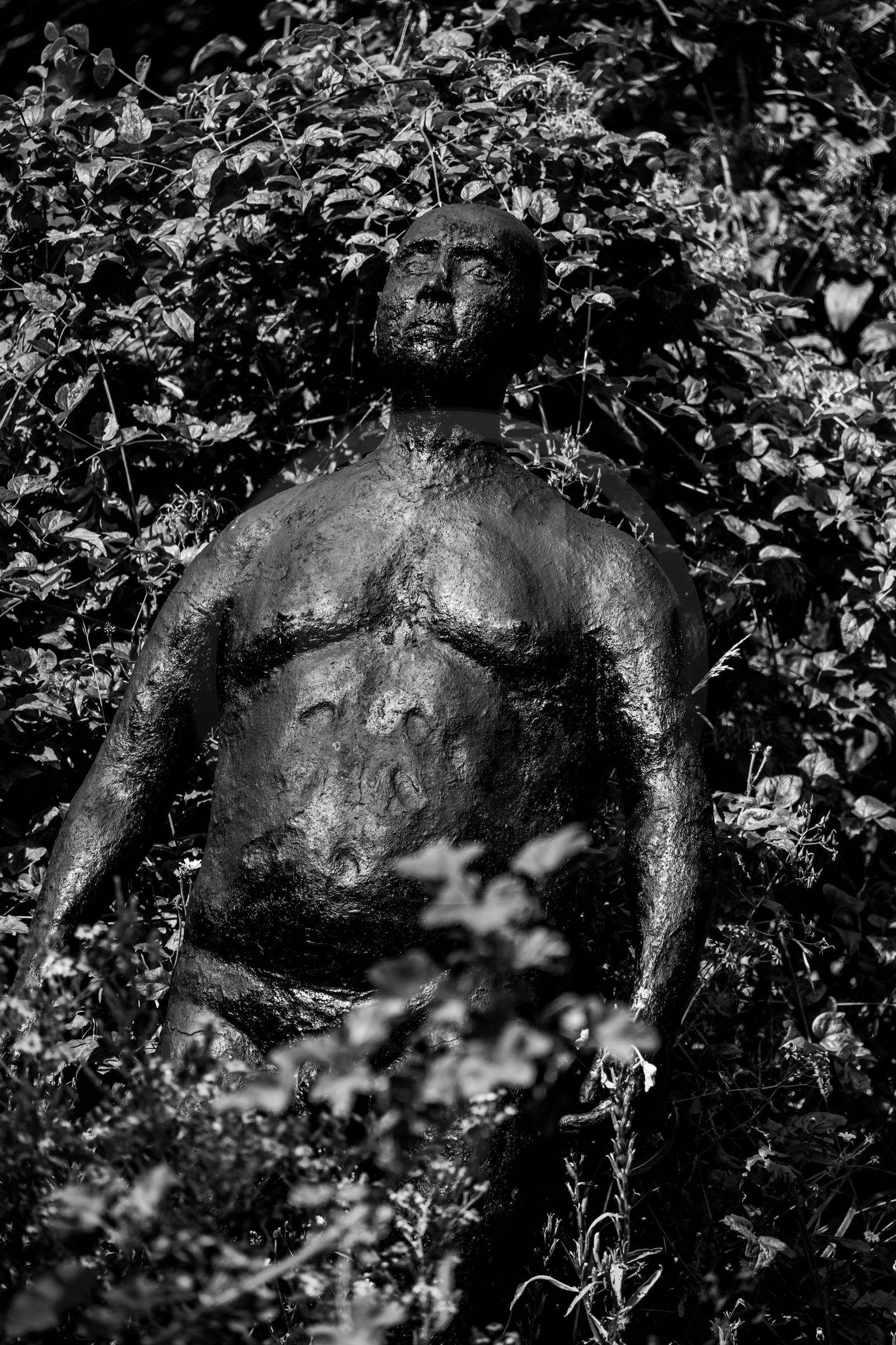 Exposition La forêt d'hommes, une création de Barbara Fougnon, artiste plasticienne Exposition La forêt d'hommes, une création de Barbara Fougnon, artiste plasticienne