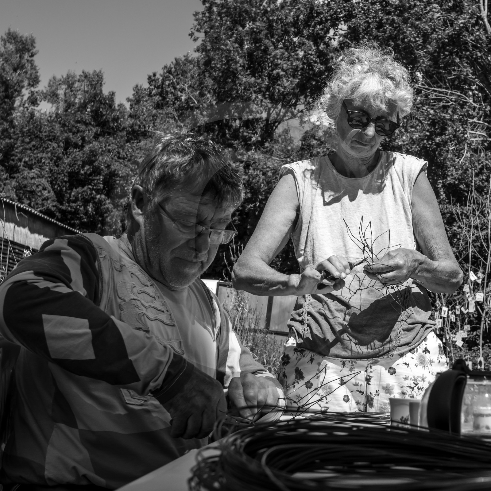 Activités au jardin