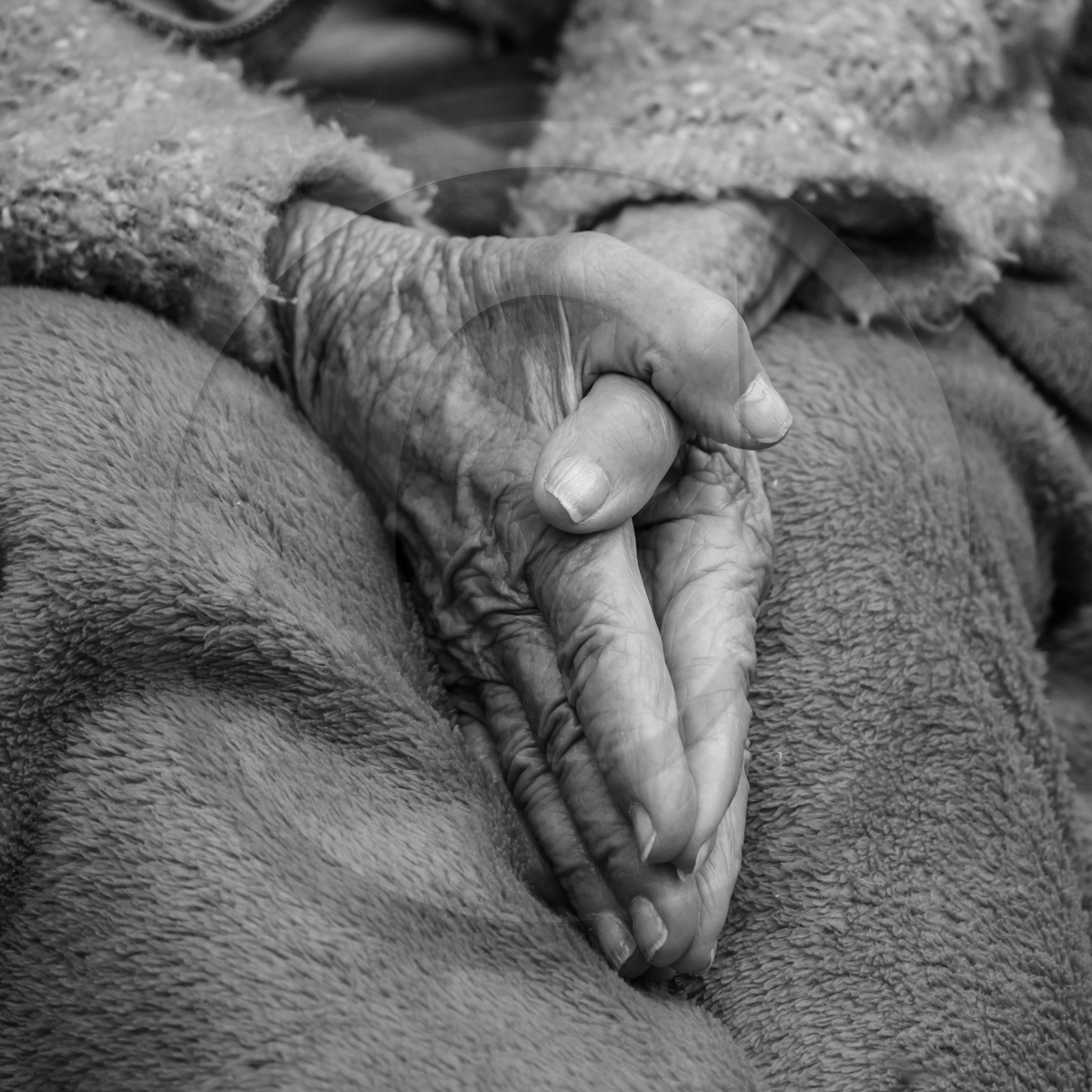 10 juin 2022 : 3ème journée des aidants 10 juin 2022 : 3ème journée des aidants