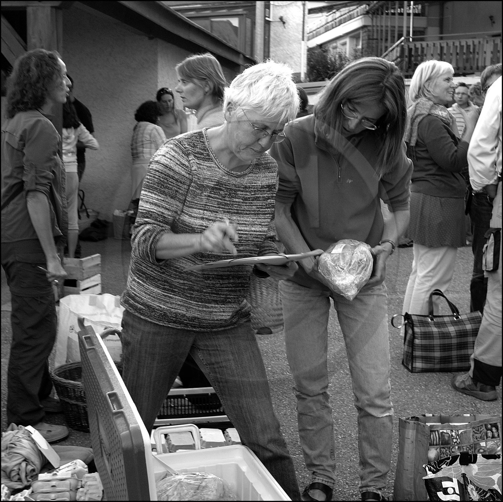 Distribution à l'AMAP du Champsaur Distribution à l'AMAP du Champsaur
