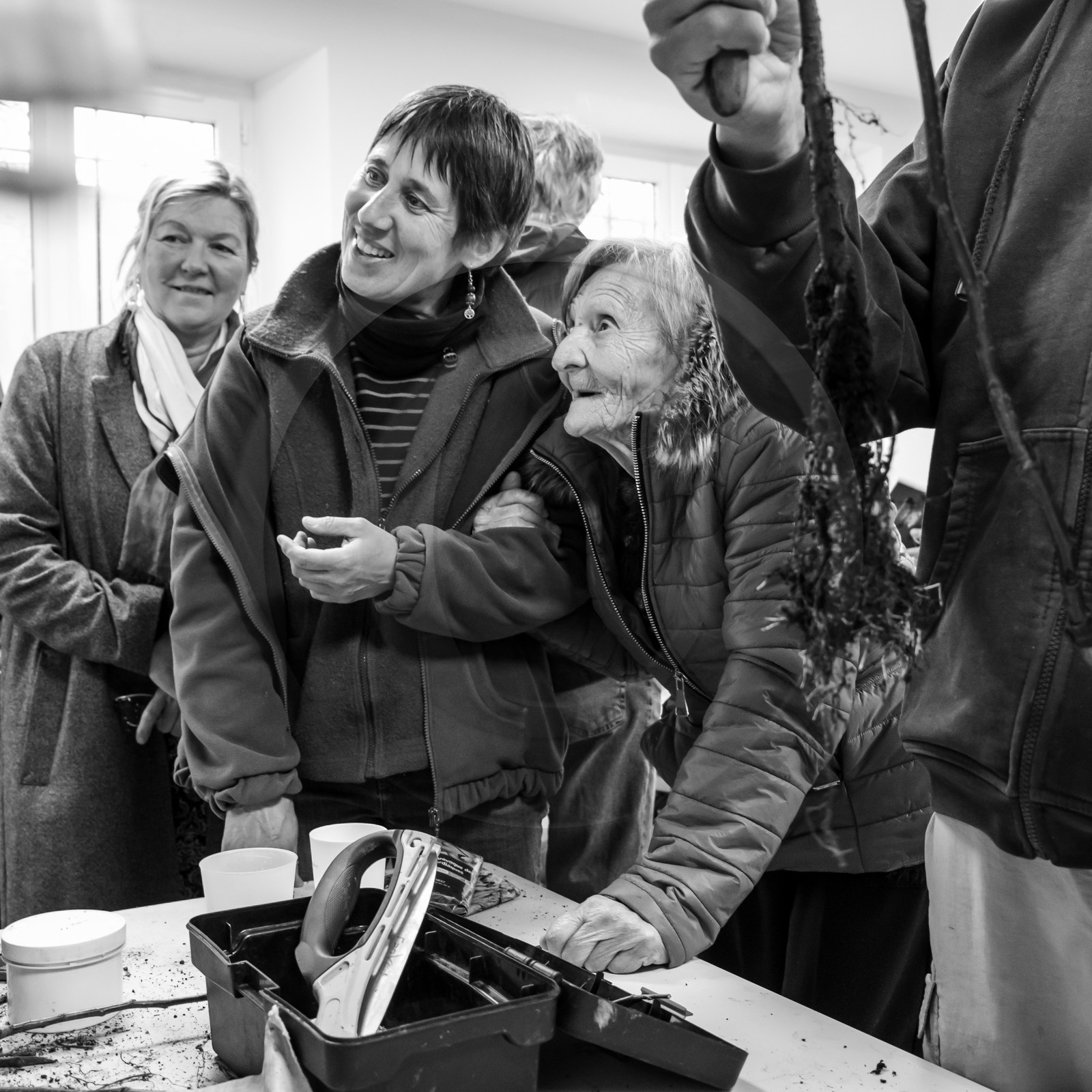 03 avril 2019 : Initiation à la greffe d'arbres fruitiers