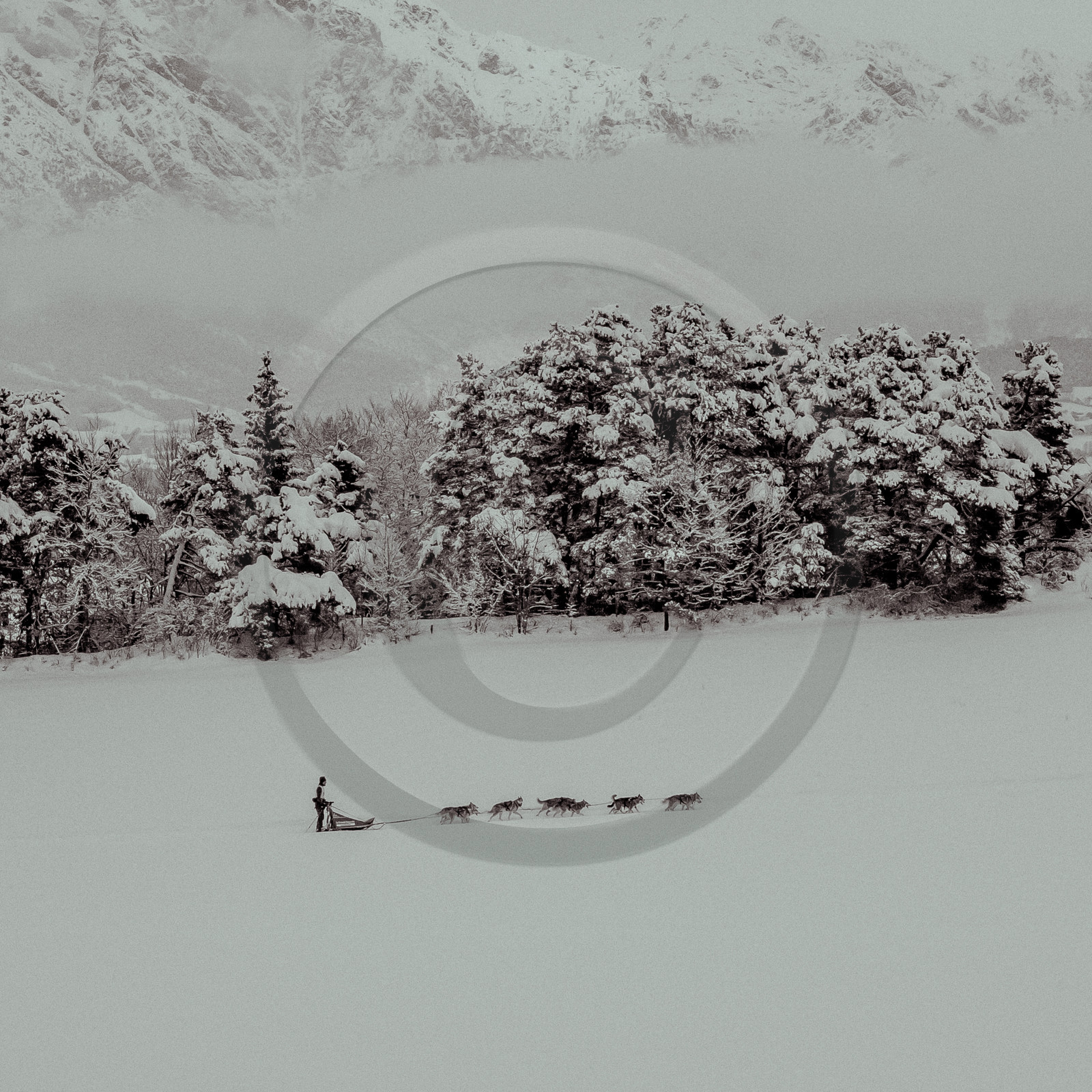 La Valgaude Traineau 2015 La Valgaude Traineau 2015