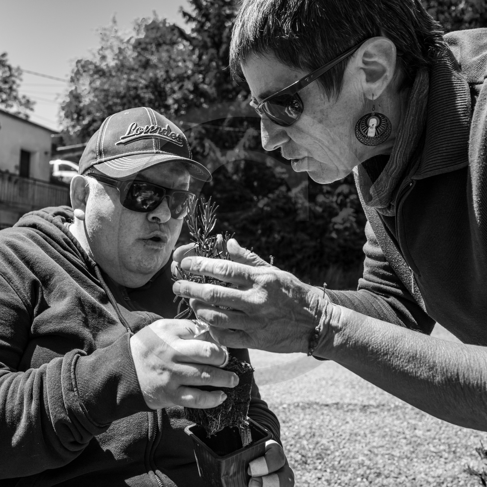 12 juin 2024 : création d'un jeu et jardinage 12 juin 2024 : création d'un jeu et jardinage