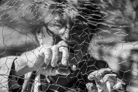 25 avril 2025 : Journée des Aidants