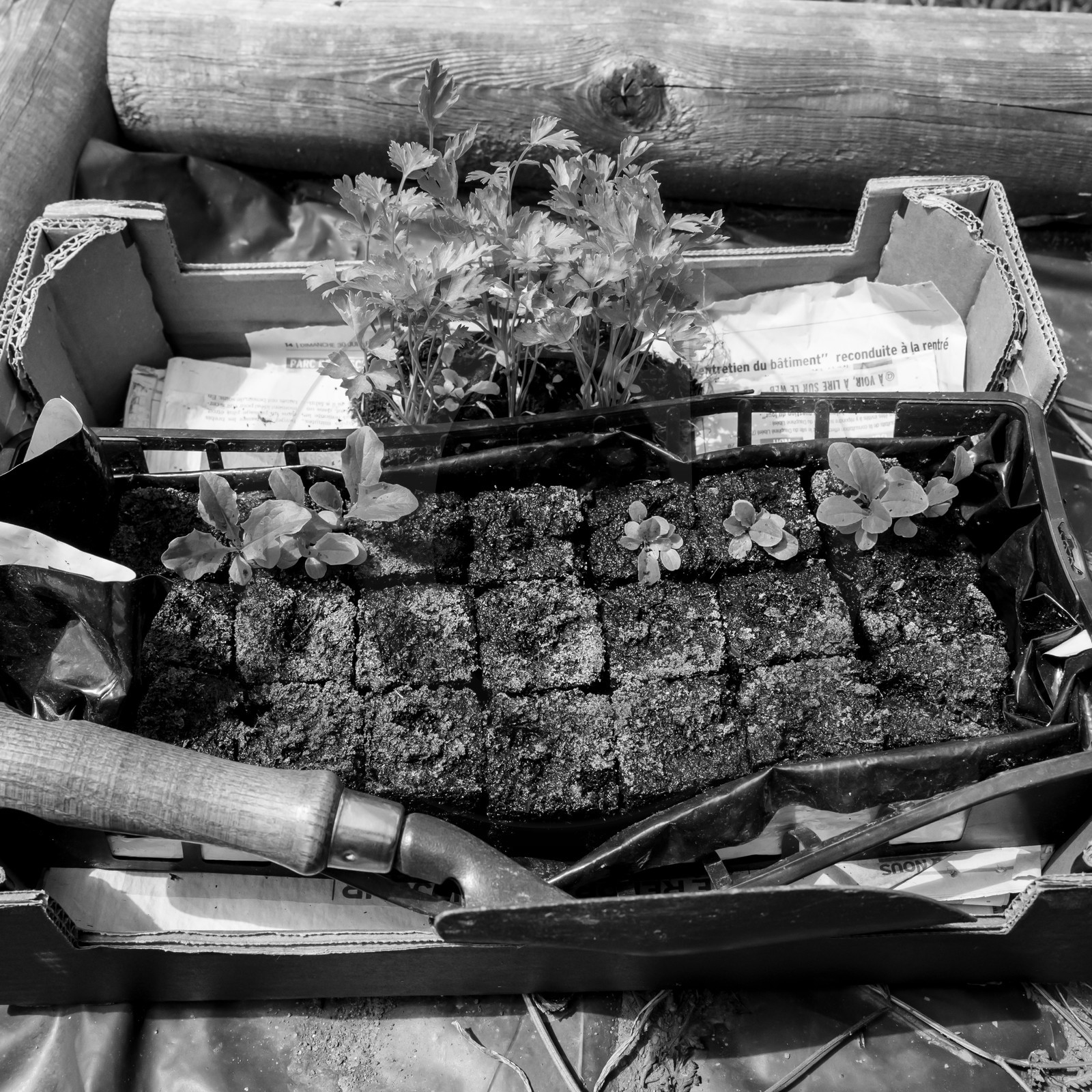 12 juin 2019 : Après-midi au jardin