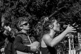 26 octobre 2025 : Les oiseaux de trottoir