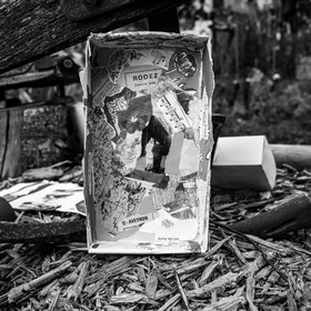 Présentation des réalisation de la saison à l'occasion de la semaine nationale des aidants - Avec la participation de Territoires Aidants