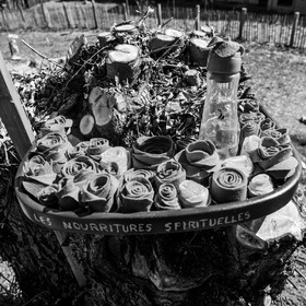 20 mars 2018 : une après-midi au jardin