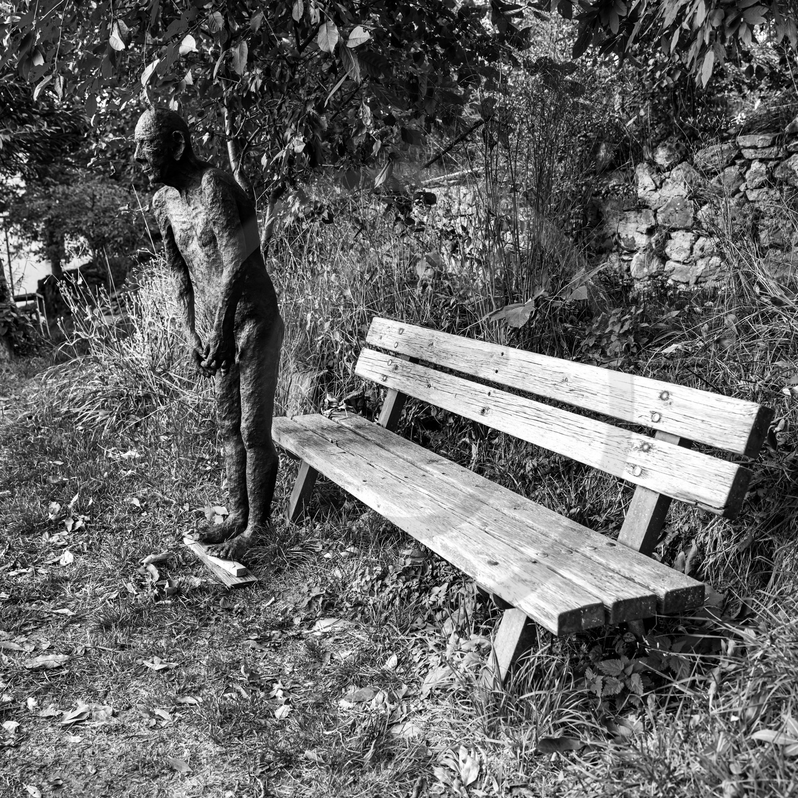 Présentation des réalisation de la saison à l'occasion de la semaine nationale des aidants - Avec la participation de Territoires Aidants