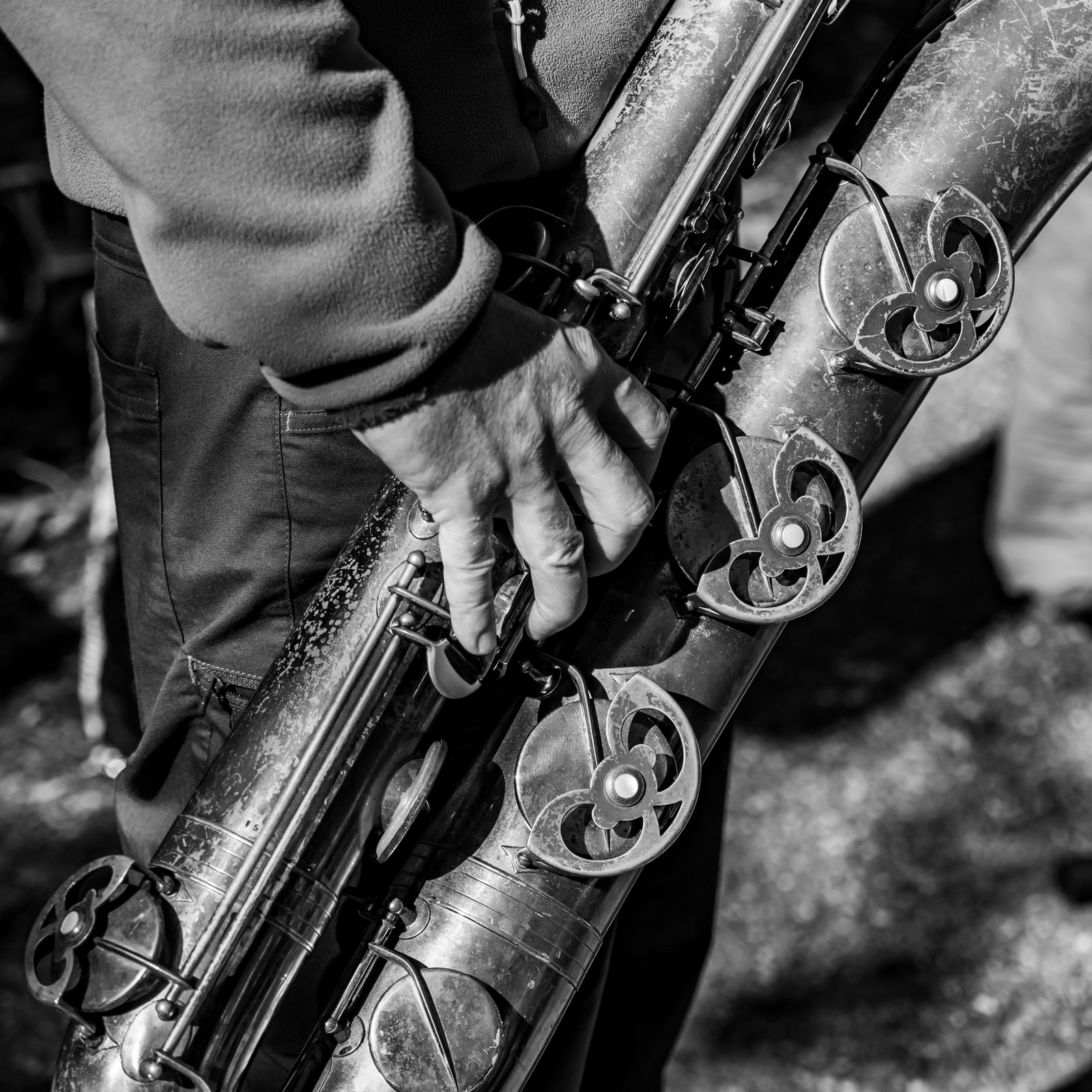 26 octobre 2025 : Les oiseaux de trottoir