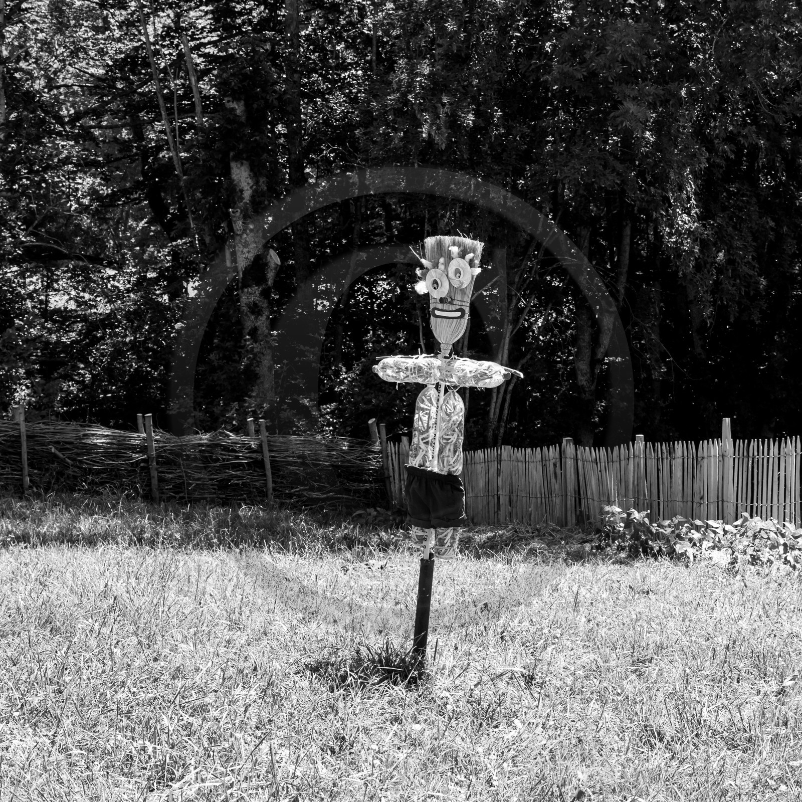 05 juillet 2017 - Installation épouvantails 05 juillet 2017 - Installation épouvantails